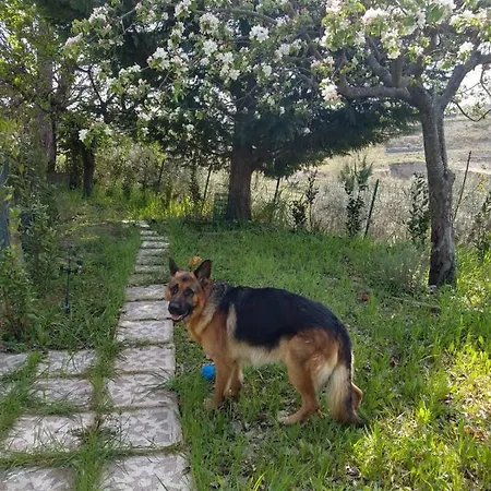 Tramonti D'estate - Semesterbostad