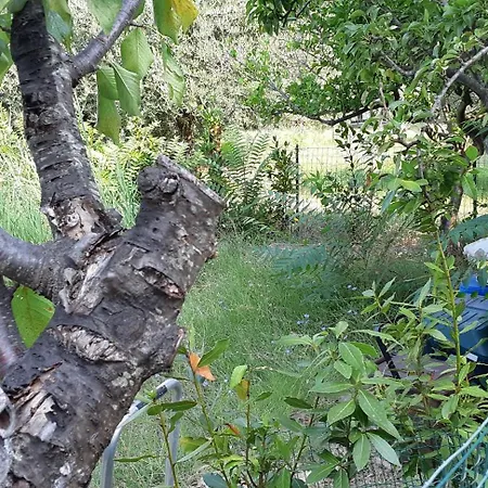 Semesterbostad Tramonti D'estate - *