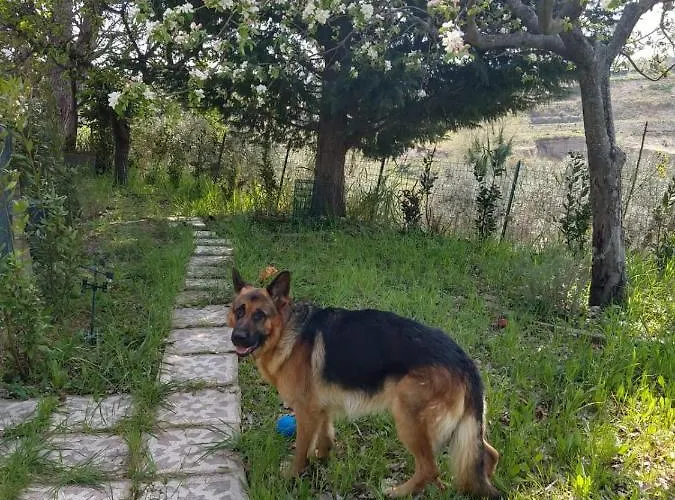 Tramonti D'estate - Prázdninový dům