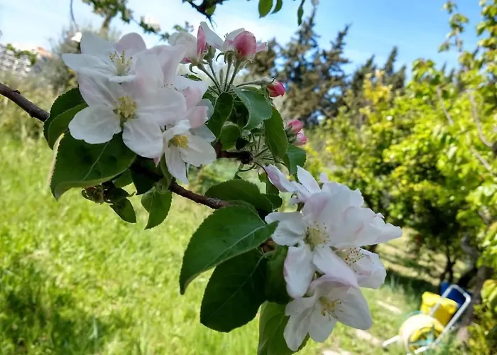 Tramonti D'estate - * Ortona