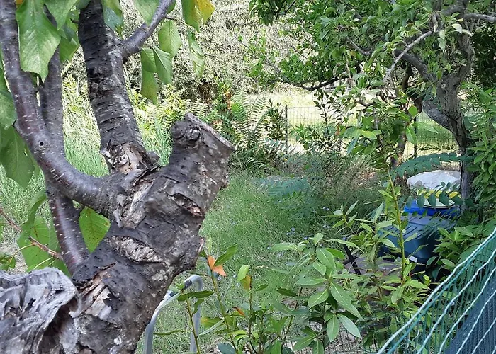 Prázdninový dům Tramonti D'estate - *